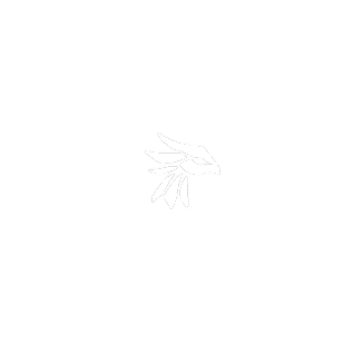 apn